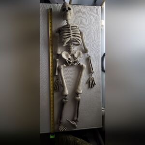 Hanging Skeleton Decoration